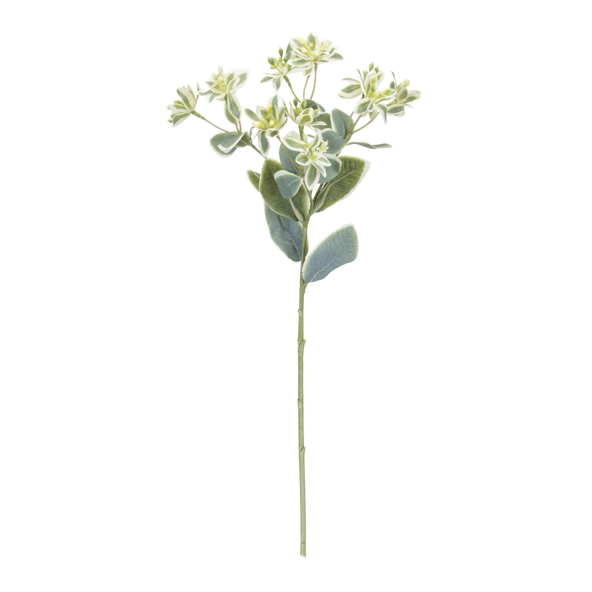 18.5" Euphorbia Floral Stems, 6ct.